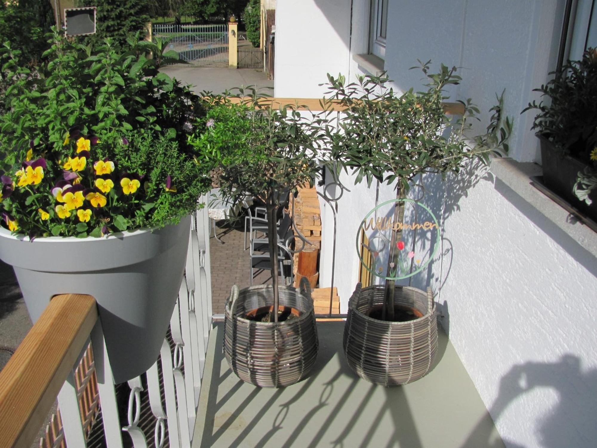#1Gemuetliches Ruhiges Sonniges Balkonzimmer Mit Gemeinschaftsbad W-Lan Airport Nah Late Night Check In Haus Nr 9,5 Trunkelsberg 外观 照片